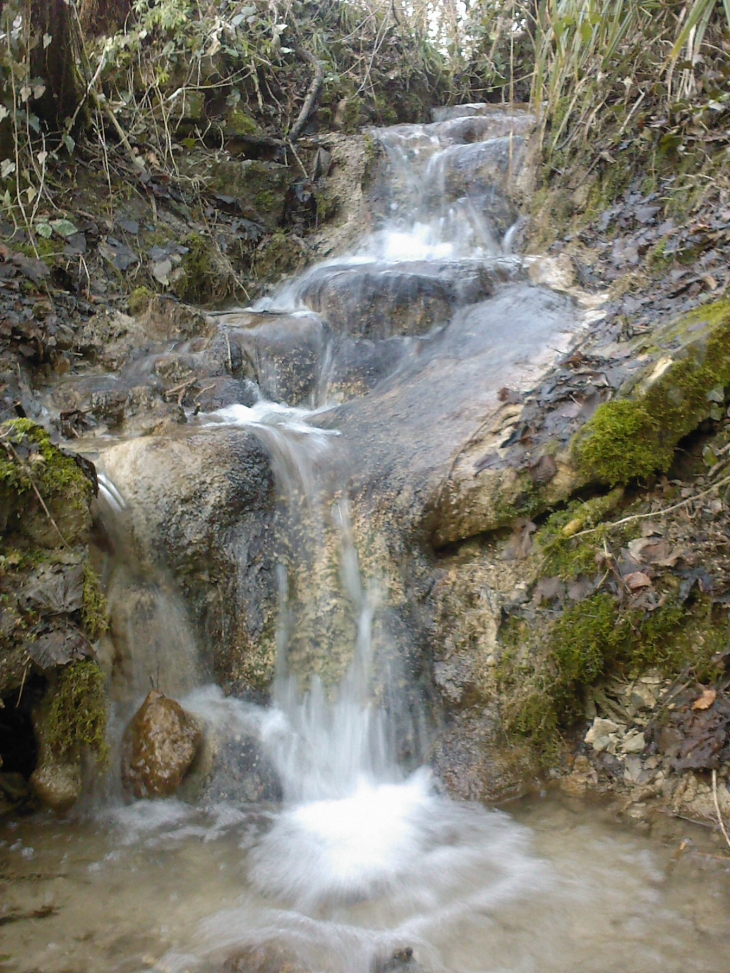 Douceur fraîche matinale - Saint-Thomas