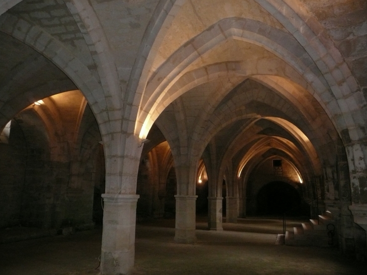 Abbaye Saint Jean des vignes-Le cellier - Soissons