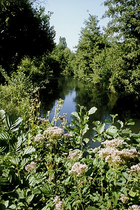 Le thérain - Balagny-sur-Thérain