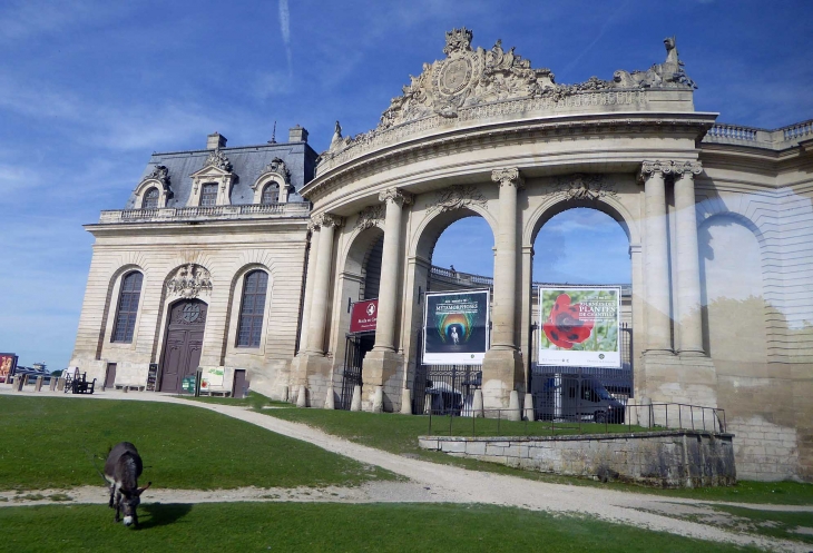 Les Grandes Ecuries - Chantilly