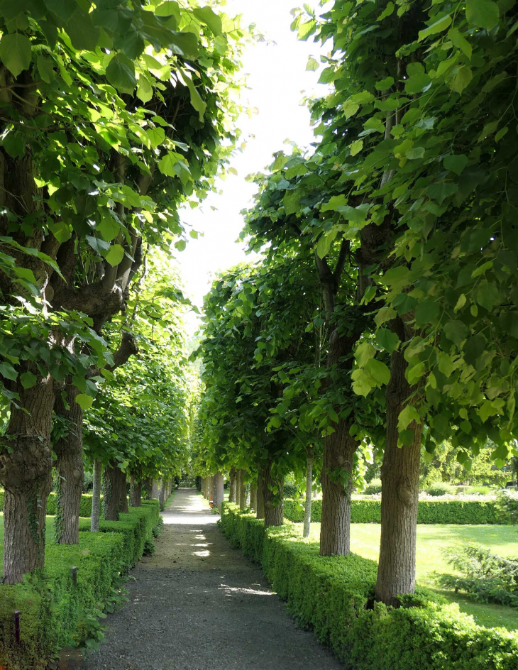 Le parc de la mairie - Clairoix