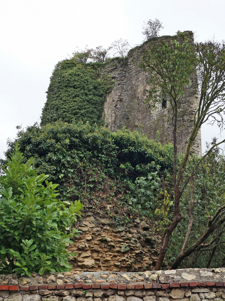 Ruine du château - Courcelles-lès-Gisors