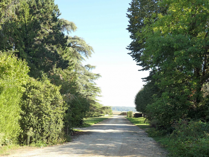 L'allée menant au château - Cuts