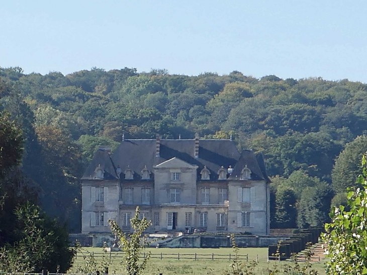 Vue sur le château - Cuts