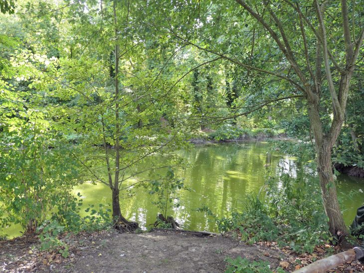 Dans le parc du château - Dives