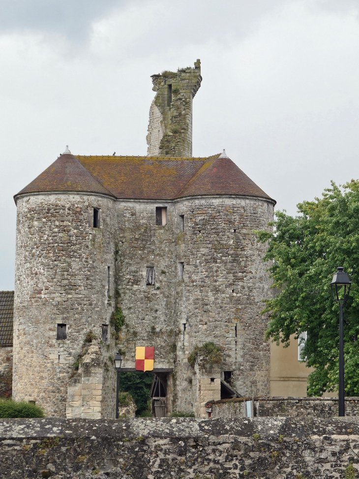Ruine du donjon derrière le châtelet d'entrée - Montépilloy