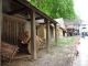 Reconstitution à l'ancienne autour du château