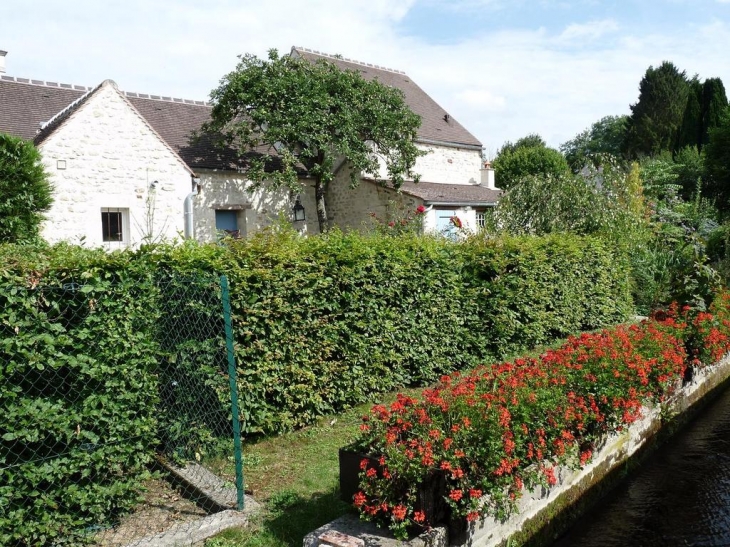 La nature et beaucoup de fleurs - Saint-Jean-aux-Bois