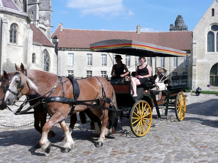 BALADE HIPPOMOBILE - Senlis