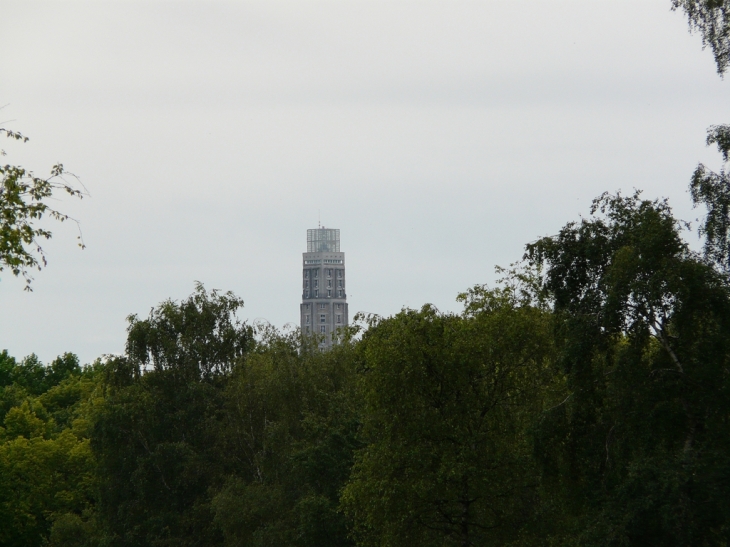 La tour Perret vue de l'entrée du zoo de la Hotoie  - Amiens