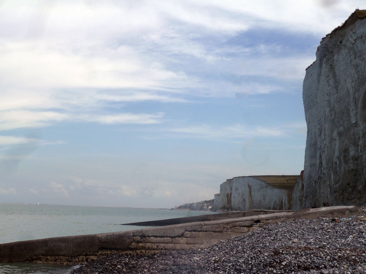 Le bois de Cise : vue sur les falaises d'Ault