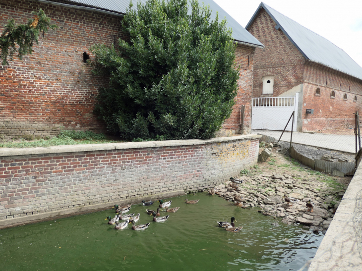 Les douves de la ferme au bord de la route - Brouchy