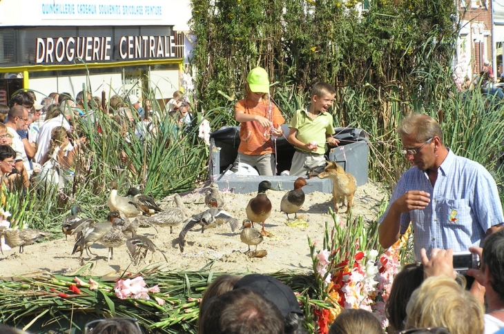 Fête des Glaieuls - Cayeux-sur-Mer