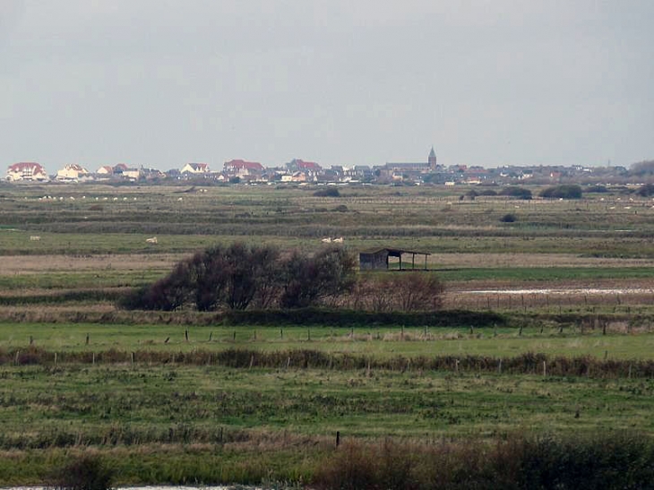 Vue d'ensemble - Cayeux-sur-Mer