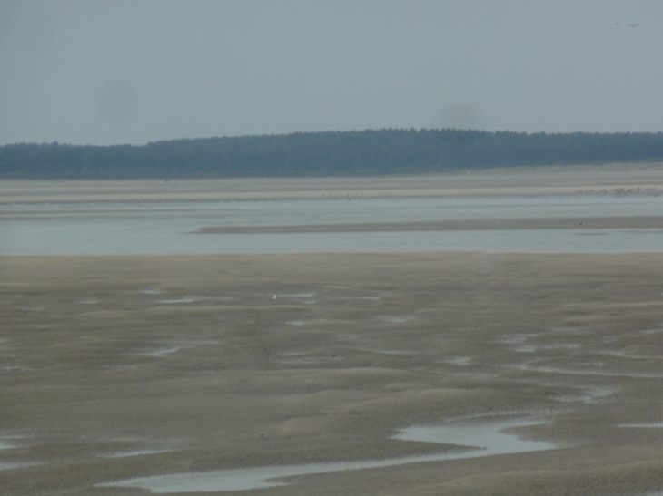 Le Hourdel : la baie de Somme - Cayeux-sur-Mer