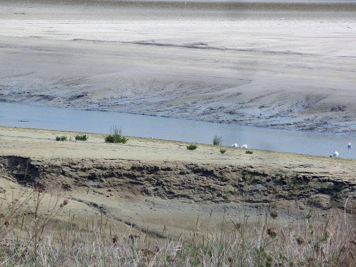 Le Hourdel : la baie de Somme - Cayeux-sur-Mer