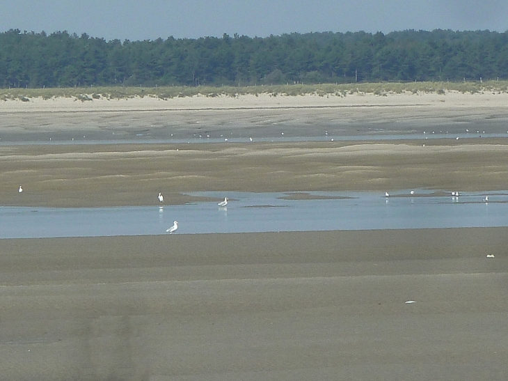 Le Hourdel : la baie de Somme - Cayeux-sur-Mer