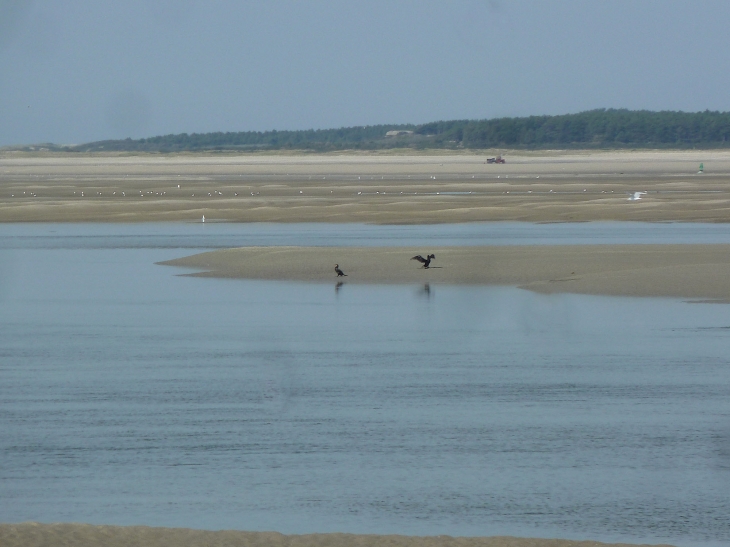 Le Hourdel : la baie de Somme - Cayeux-sur-Mer