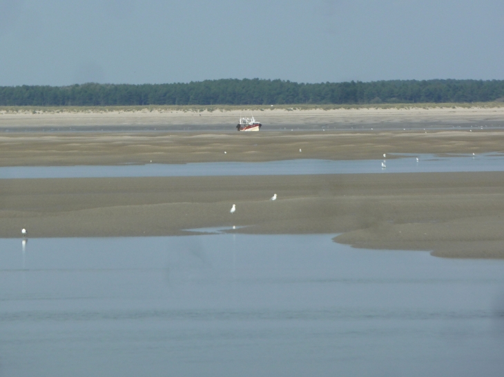 Le Hourdel : la baie de Somme - Cayeux-sur-Mer