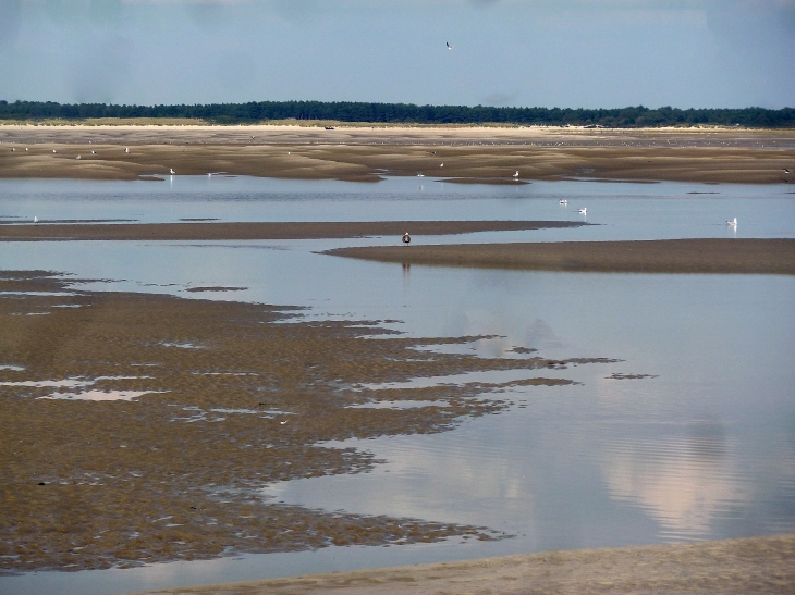 Le Hourdel : la baie de Somme - Cayeux-sur-Mer