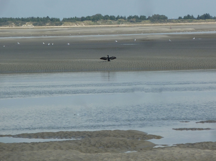 Le Hourdel : la baie de Somme - Cayeux-sur-Mer