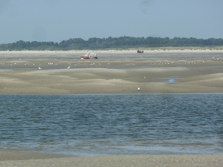 Le Hourdel : la baie de Somme - Cayeux-sur-Mer