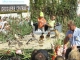 Photo précédente de Cayeux-sur-Mer Fête des Glaieuls