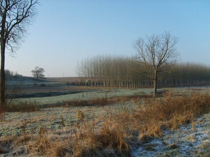 Campagne sous le gel - Curchy