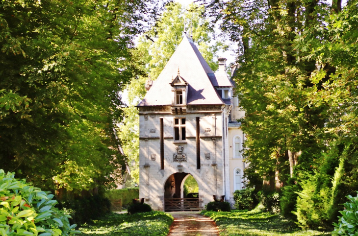 Mericourt sur Somme ( Le Château ) - Étinehem