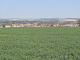 Photo précédente de Fouilloy le village vu du mémorial australien de Villers Bretonneux