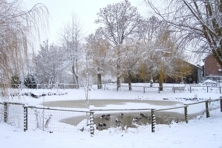 La mare sous la neige en décembre 2010. - Grattepanche