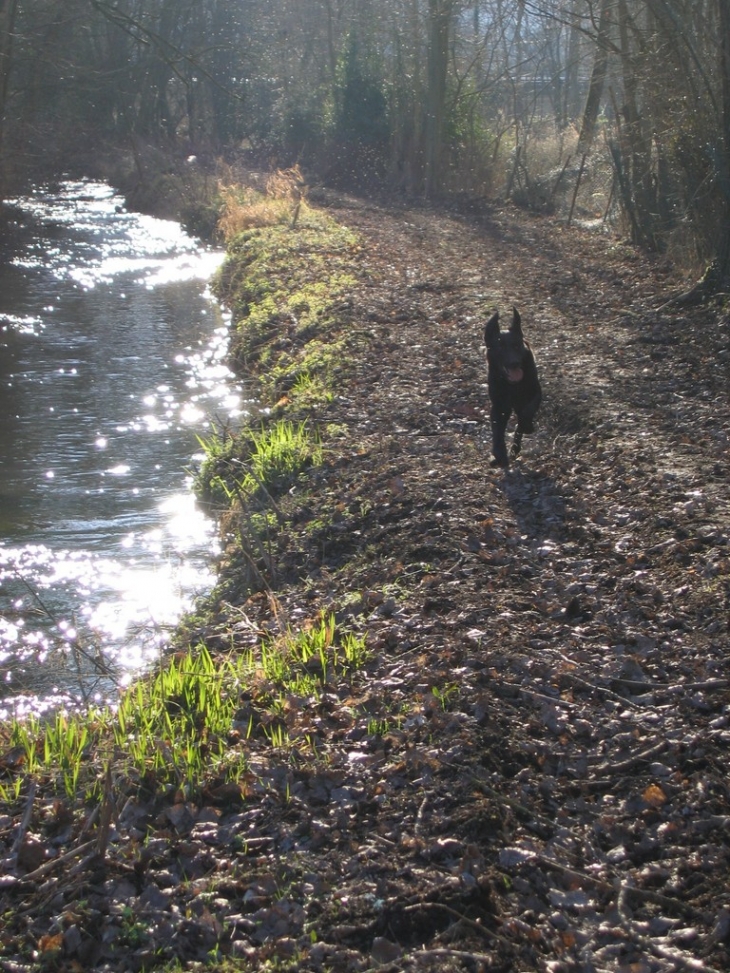 Ballade dans les marais - Hangest-sur-Somme