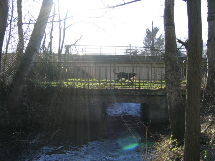 Le chien en ballade - Hangest-sur-Somme