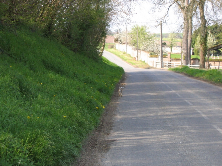 Le mème lievre en ballade - Hangest-sur-Somme