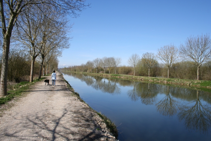 Promenade le long du canal - Hangest-sur-Somme