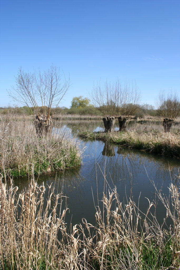 Promenade - Hangest-sur-Somme