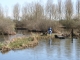 Photo précédente de Hangest-sur-Somme Ballade le long du canal