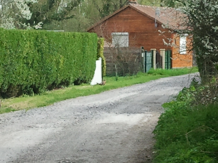 Camping du couchant - La Neuville-lès-Bray