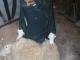 Photo précédente de Naours le musée des vieux métiers picards : la tonte des moutons