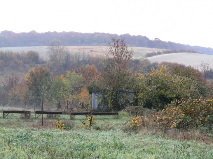 COULEURS D'AUTOMNE - Port-le-Grand