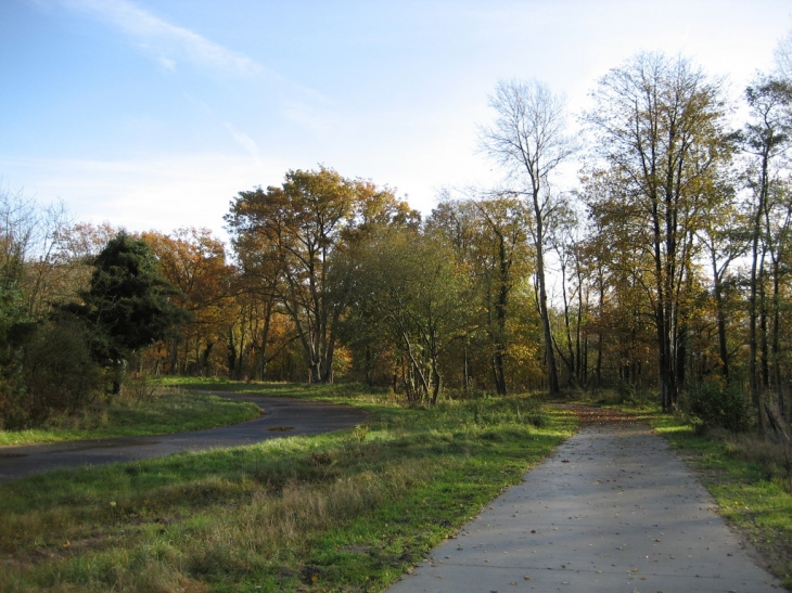 La piste cyclable  credit: Lucette Melius - Saint-Quentin-en-Tourmont