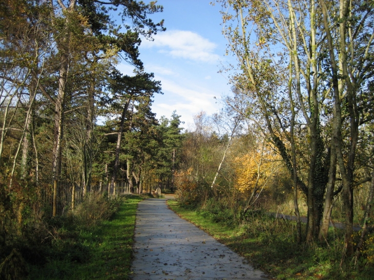 Vue sur la piste cyclable   Crédit :Lucette Melius - Saint-Quentin-en-Tourmont