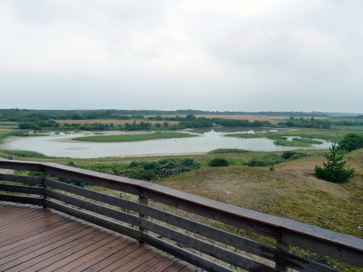 Le parc ornithologique du Marquenterre - Saint-Quentin-en-Tourmont