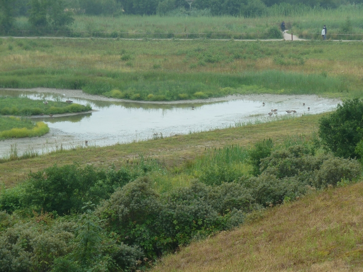 Le parc ornithologique du Marquenterre - Saint-Quentin-en-Tourmont