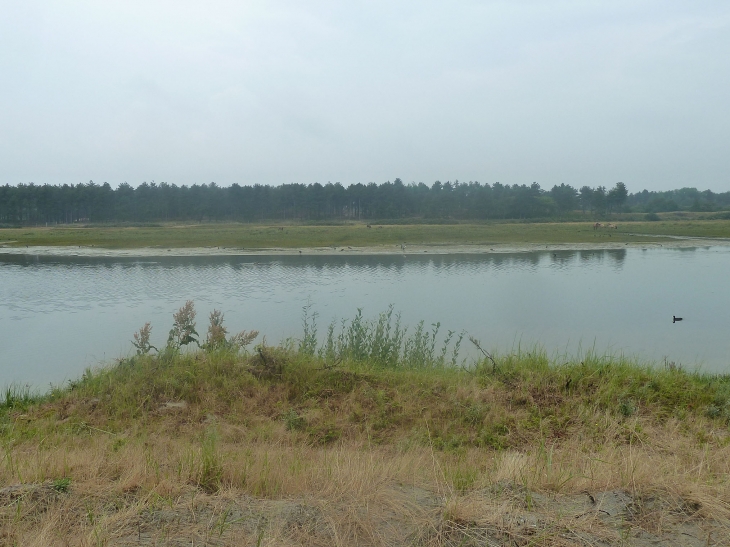 Le parc ornithologique du Marquenterre - Saint-Quentin-en-Tourmont