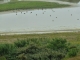 Photo précédente de Saint-Quentin-en-Tourmont le parc ornithologique du Marquenterre