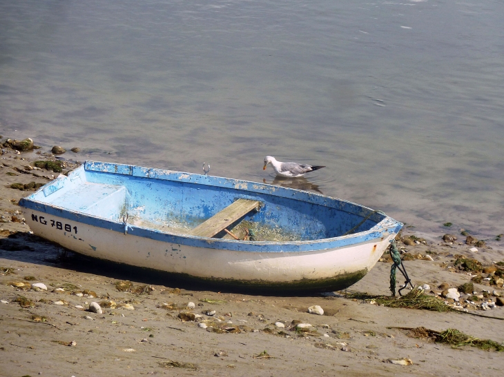 Sur le sable - Saint-Valery-sur-Somme