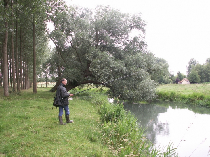 Vitz sur Authie (peche a la truite) - Vitz-sur-Authie