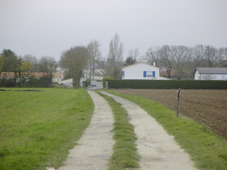 Entrée dans Aigrefeuille depuis les champs par le chemin Rochelais - Aigrefeuille-d'Aunis