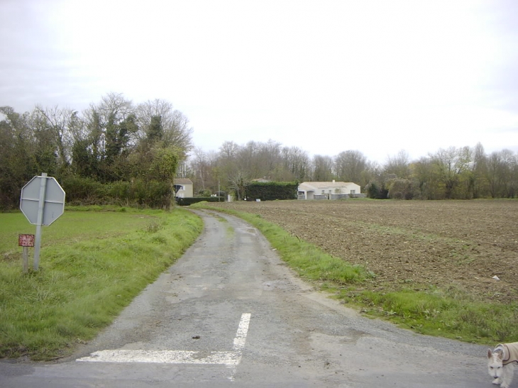 Chemin de la Fontenelle depuis la route de Puyvineux - Aigrefeuille-d'Aunis